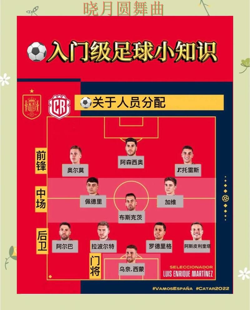 世界杯买球官网盘口波动说明了什么实用指南
